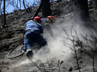 Σε ύφεση η φωτιά στη Ζήρια Αιγιάλειας 