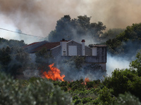 Μεγάλη φωτιά στη Ραφήνα δίπλα σε διάσπαρ...