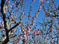Καιρός: Βροχές και πτώση της θερμοκρασία...
