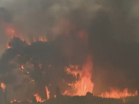 Στυλιανίδης: Ανοιχτά όλα τα ενδεχόμενα γ...