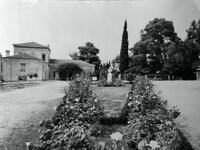 Μαυροδάφνη: Το γλυκό κρασί από την Πάτρα...