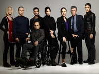 Ο Σκαραβαίος: Πότε κάνει πρεμιέρα η νέα ...