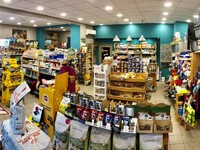 Πάτρα: Δύσκολες μέρες για φιλόζωους- Στα...