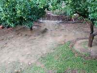 Πλημμύρισαν αυλές σπιτιών λόγω… τρένου σ...