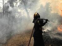 Διπλό μέτωπο πυρκαγιάς στη Σπιάτζα Πύργο...