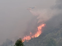 Ηλεία: Αισιοδοξία ότι θα ελέγχουν οι εστ...