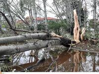 "Πατέρας και γιος πέθαναν μαζί&quot...
