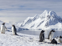 Xάρτης αποκαλύπτει τι πραγματικά κρύβετα...