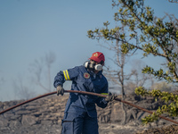 Μία σύλληψη για τη φωτιά στα Καλάβρυτα 