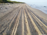 Φορέας Διαχείρισης Κοτυχίου-Στροφυλιάς: ...