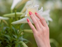 Τι σημαίνουν οι αυλακώσεις στα νύχια μας;