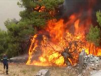 Φωτιά στην Αττική: Μέσα στην Ιπποκράτειο...