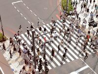 Κουνούπι: Σκοτώνει μέχρι και 1 εκατ. ανθ...