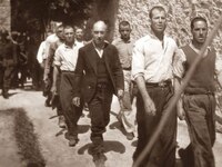 Πάτρα: Το Δημοτικό Συμβούλιο για το φωτο...