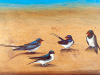 Αιγιάλεια: «Απεικάσματα» - Έκθεση ζωγραφ...