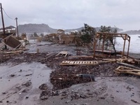 Ρόδος: 11 μποφόρ σαρώνουν το νησί 