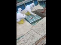 Σε έλεγχο για κορωνοϊό υποβάλλει η Κίνα ...