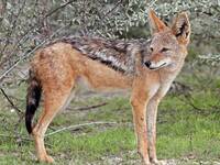 Δυτική Αχαΐα: "Πρόσωπο με πρόσωπο&q...