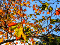 Καιρός αύριο: Νέα άνοδος της θερμοκρασία...