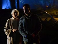 Το πρόγραμμα προβολών στα Options Cinema...