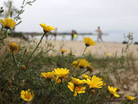 Εαρινή ισημερία την Κυριακή: Μπαίνει και...