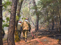 Έβρος: Γιατί τώρα επιχειρούν μόνο ελικόπ...