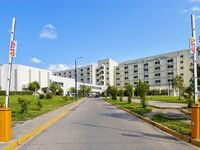 Ηλεία: Νέο σοβαρό κρούσμα ιού του Δυτικο...