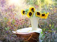 Η γύρη αυξάνει τον κίνδυνο λοίμωξης από ...