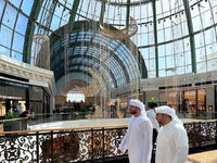 Ηνωμένα Αραβικά Εμιράτα: Η βασιλική οικο...