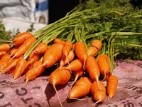 Αυτά τα πορτοκαλί λαχανικά είναι το μυστ...