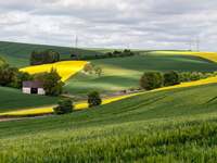 Ημερίδα με θέμα: “Πρόγραμμα Αγροτικής Αν...