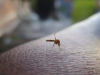 Συναγερμός στις υγειονομικές Αρχές για τ...