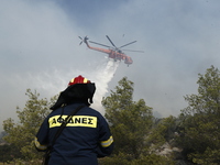 Πυρκαγιά στη Πάρνηθα. (ΣΩΤΗΡΗΣ ΔΗΜΗΤΡΟΠΟ...
