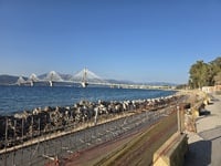 Δείτε την εξέλιξη των εργασιών ενίσχυσης...