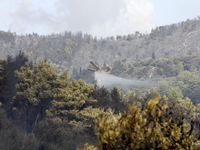 Φωτιά ΤΩΡΑ στη Νάξο