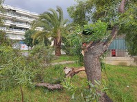 Πάτρα: Ζημιές από τον αέρα στην Ηρώων Πο...