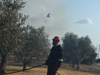 Φωτιά στην Ανατολική Αττική: Ξεκίνησαν τ...