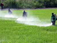 ΕΕ: «Καμπανάκι» για τις επιπτώσεις από τ...