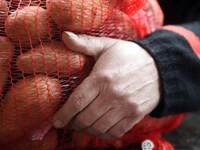 Δ. Αχαΐα: Πατατοπαραγωγοί σε απόγνωση- Ζ...