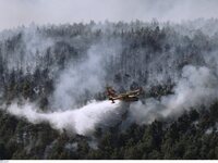 Συναγερμός στη Νότια Εύβοια: Μεγάλη φωτι...