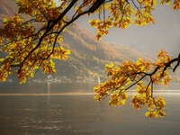 Τα 4 ζώδια που θα έχουν ένα υπέροχο φθιν...