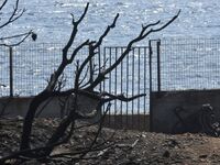 Μάτι: Δεύτερη δίκη για τους 21 κατηγορού...