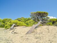Μηνυτήρια αναφορά στην Εισαγγελία Πατρών...