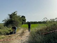 Δολοφονία 11χρονης στην Ηλεία:«Τι τράβηξ...