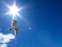 Αρναούτογλου: Έρχεται νέα ατμοσφαιρική δ...