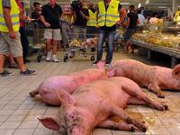 Γάλλοι αγρότες στο πλαίσιο διαμαρτυρίας ...