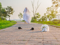 Τα ζώδια που είναι κατά του γάμου