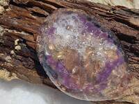 Οι μωβ μέδουσες έφθασαν και στα Δυτικά -...