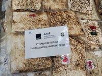 Πειραιάς: Κατασχέθηκε φορτίο «μαμούθ» κο...