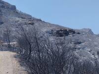 Αιγιάλεια- Φωτιές:Αίτημα για κήρυξη σε κ...